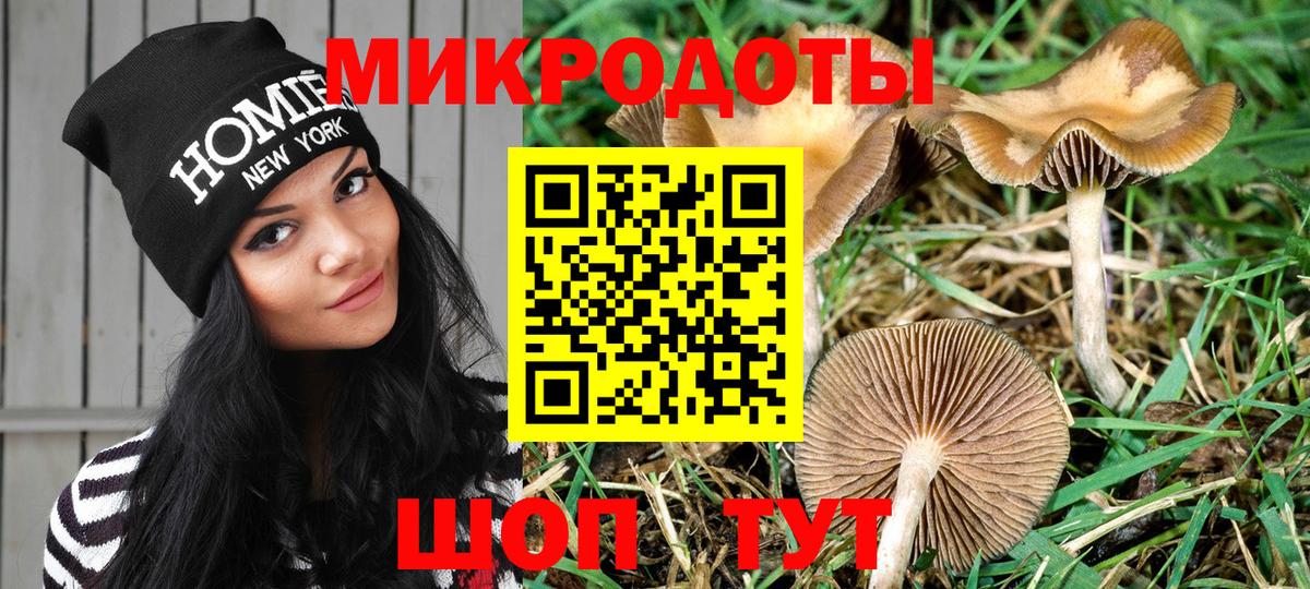 Псилоцибиновые грибы GOLDEN TEACHER  наркота  Старая Купавна  Вход с VPN 